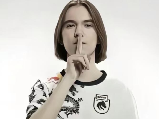 数据与荣誉